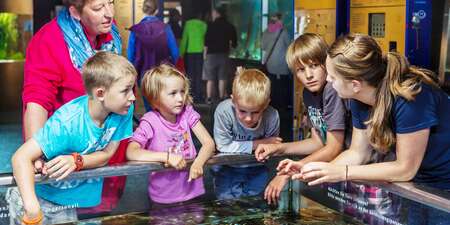 Fütterung der Fische und Krebse in den Aquarien des Multimar Wattforum Fütterung der Fische und Krebse in den Aquarien des Multimar Wattforum